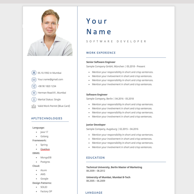 Professional Cv Template - Settle Germany